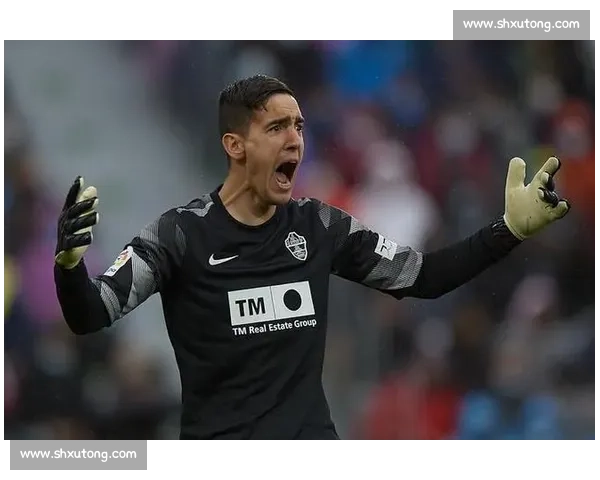 巴莱拉零转会费回归埃尔切 升级功臣再战西甲 巴莱拉零转会费回归埃尔切 升级功臣再战西甲